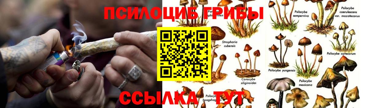 Шуя  Галлюциногенные грибы ЛСД  Псилоцибиновые грибы ЛСД  Вход с VPN 